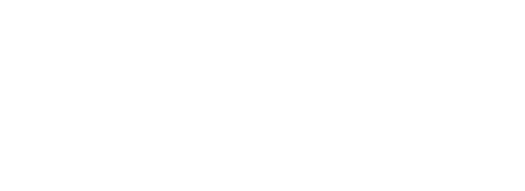 SKYWASH DRONE